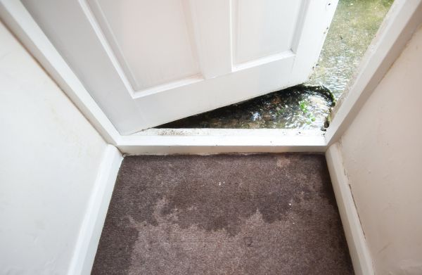 Cost of Wet Carpet Restoration in Oklahoma City