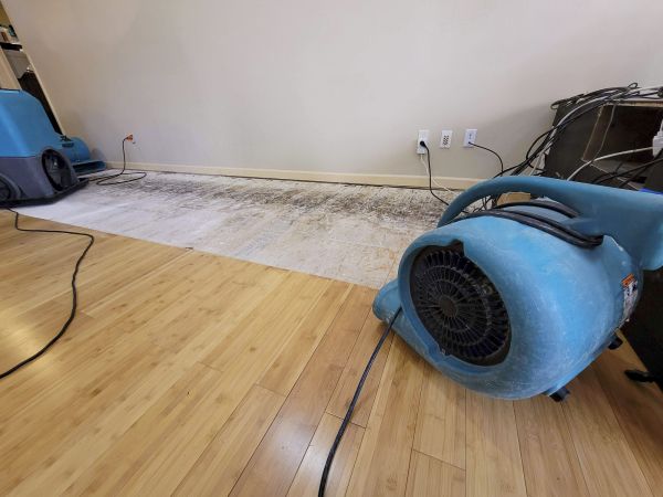 Cost of Water Damage Mitigation in Oklahoma City